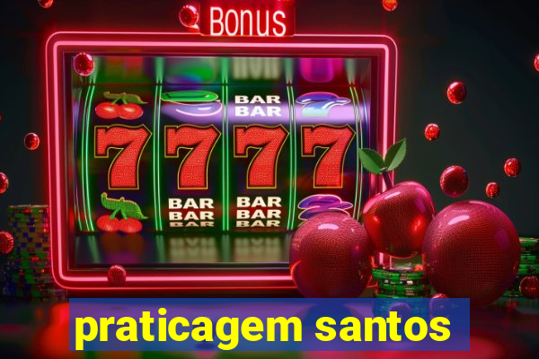 praticagem santos